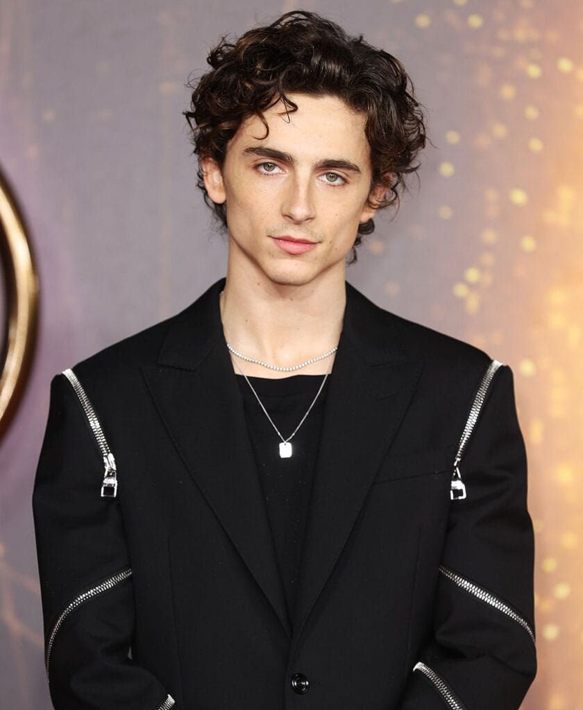 timothee-chalamet-3-7bb2996ce67d4b71aa7115d877e1cd41